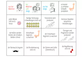 Vorschau - Spiele - Veränderungen in der Pubertät - Zuoordnungsaktivität - Seite 1