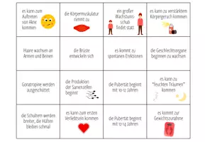 Vorschau - Spiele - Veränderungen in der Pubertät - Zuoordnungsaktivität - Seite 2