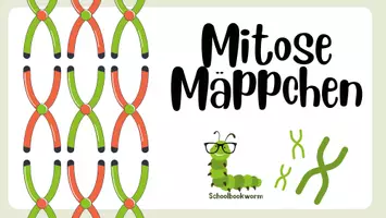 Vorschau - Präsentationen/Tafelbilder - Mitose Flipbook 🧬📖💡 - Deckblatt