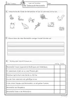 Vorschau - Unterrichtsreihen - Lesen und verstehen, erster Sachtext Marienkäfer 2. Klasse, 3. Klasse Frühling Lesetext - Seite 3