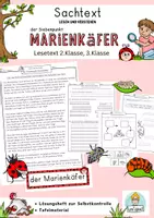 Vorschau - Unterrichtsreihen - Lesen und verstehen, erster Sachtext Marienkäfer 2. Klasse, 3. Klasse Frühling Lesetext - Deckblatt