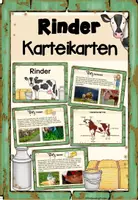 Vorschau - Unterrichtsreihen - Rinder - Karteikarten - Deckblatt