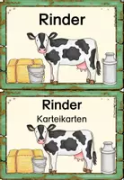 Vorschau - Unterrichtsreihen - Rinder - Karteikarten - Seite 1