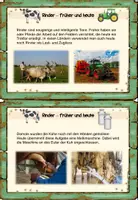 Vorschau - Unterrichtsreihen - Rinder - Karteikarten - Seite 2