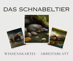 Vorschau - Stundenentwürfe - Das Schnabeltier -> Wissenskartei + Arbeitsblatt - Deckblatt