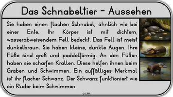 Vorschau - Stundenentwürfe - Das Schnabeltier -> Wissenskartei + Arbeitsblatt - Seite 2
