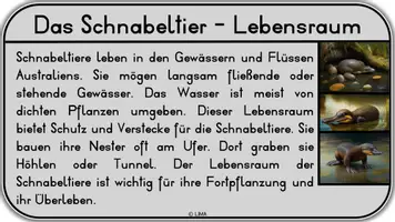 Vorschau - Stundenentwürfe - Das Schnabeltier -> Wissenskartei + Arbeitsblatt - Seite 3