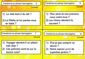 Aperçu - Apprentissages en autonomie - Grammaire : transformer en phrase interrogative - Page 3