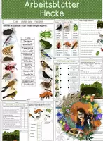 Vorschau - Arbeitsblätter - Hecke - Sammlung von Arbeitsblättern - Deckblatt