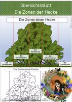 Vorschau - Arbeitsblätter - Die Zonen der Hecke - Übersichtsblatt - Deckblatt