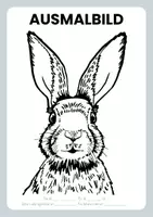 Vorschau - Arbeitsblätter - 11 Ausmalbilder: HASE / OSTERHASE und Schreibanlass - Seite 3