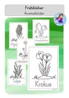 Vorschau - Arbeitsblätter - Frühblüher Ausmalbilder Wörter - Frühlingsblumen anmalen - Deckblatt