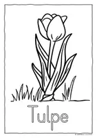 Vorschau - Arbeitsblätter - Frühblüher Ausmalbilder Wörter - Frühlingsblumen anmalen - Seite 1