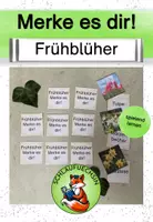 Vorschau - Spiele - Merke es dir! Frühblüher Freiarbeit Spiel - Deckblatt