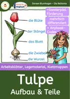 Vorschau - Arbeitsblätter - Die Tulpe - Arbeitsblätter - Legematerial - Klettmappen inkl. Anybook Pro - Deckblatt