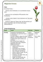 Vorschau - Arbeitsblätter - Die Tulpe - Arbeitsblätter - Legematerial - Klettmappen inkl. Anybook Pro - Seite 2