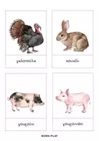 Προεπισκόπηση - Flashcards - Πακέτο καρτών και αφίσας "Κατοικίδια ζώα" - Σελίδα 1