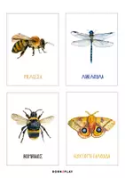 Προεπισκόπηση - Flashcards - 40 εκπαιδευτικές κάρτες "Άνοιξη" - Εξώφυλλο