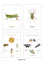 Προεπισκόπηση - Flashcards - 40 εκπαιδευτικές κάρτες "Άνοιξη" - Σελίδα 1