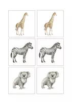 Προεπισκόπηση - Flashcards - Παιχνίδια "Βρες τα όμοια ζεύγη" σε 3 θεματικές - Σελίδα 2