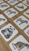 Προεπισκόπηση - Flashcards - Παιχνίδια "Βρες τα όμοια ζεύγη" σε 3 θεματικές - Εξώφυλλο