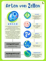 Vorschau - Arbeitsblätter - Materialpaket ZELLEN | ZELLTEILUNG 🔬🧬📚💡📖 - Deckblatt
