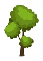 Vista previa - Unidades / Secuencias / Situaciones de Aprendizaje - POSA-LI LES FLORS A L'ARBRE! - página 2
