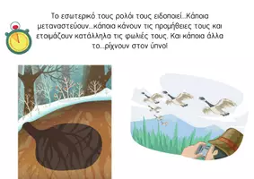 Προεπισκόπηση - Άλλος τύπος υλικού - Παρουσίαση για τη χειμέρια νάρκη! - Σελίδα 2