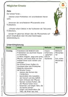 Vorschau - Arbeitsblätter - Märzenbecher - Aufbau und Teile: Arbeitsblätter - Legematerial - Klettmappen - Seite 2