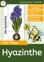 Vorschau - Arbeitsblätter - Hyazinthe - Materialpaket (mit sonderpädagogischer Förderung) - Seite 1