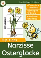 Vorschau - Mal- und Bastelvorlagen - Narzisse - Flip-Flap - Teile der Pflanze mit differenzierten Lesetexten (auch für sonderpädagogische Förderung) - Deckblatt