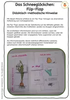 Vorschau - Arbeitsblätter - Schneeglöckchen - Flip-Flap - Teile der Pflanze mit differenzierten Lesetexten (auch für sonderpädagogische Förderung) - Seite 1