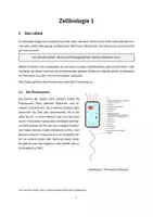 Vorschau - Unterrichtsreihen - Zellbiologie 1 & 2 mit Tests - Seite 1