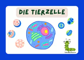 Vorschau - Bildkarten - Die Tierzelle 🐾🔬 - Deckblatt