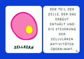Vorschau - Bildkarten - Die Tierzelle 🐾🔬 - Seite 3