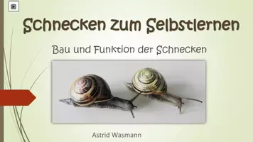 Vorschau - Arbeitsblätter - Schnecken zum Selbstlernen - Seite 1