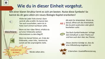 Vorschau - Arbeitsblätter - Schnecken zum Selbstlernen - Seite 2