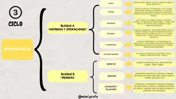 Vista previa - Para docentes: organización, planificación y formación - Paquete de materiales: BLOQUES DE CONTENIDOS + SABERES BÁSICOS POR CICLO - página 2