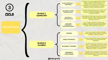 Vista previa - Para docentes: organización, planificación y formación - Paquete de materiales: BLOQUES DE CONTENIDOS + SABERES BÁSICOS POR CICLO - página 3