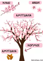 Προεπισκόπηση - Άλλος τύπος υλικού - Αμυγδαλιά: κάρτες αναφοράς και φύλλα εργασίας - Σελίδα 2