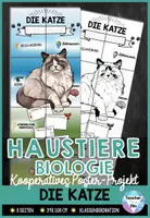 Vorschau - Stationenlernen - Die Katze - Poster | Haustiere - Säugetiere | Kooperative Klassendekoration - Deckblatt