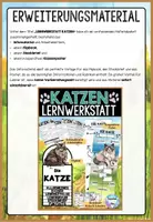 Vorschau - Arbeitsblätter - Katze Steckbrief | Haustiere - Säugetiere Projekt - Seite 2