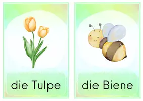 Vorschau - Poster - Bildkarten - Frühling - Wort und Bild - Seite 3