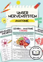 Vorschau - Arbeitsblätter - Nervensystem - Einführung - Nervenzelle, Synapse, Gehirn - Deckblatt
