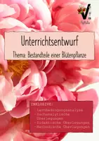 Vorschau - Stundenentwürfe - Unterrichtsentwurf Bestandteile einer Blütenpflanze - Deckblatt