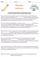 Vorschau - Arbeitsblätter - Pflanzen Lückentext Klasse 2 Grundschule Pflanzen DaZ DaF - Seite 1