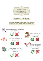 Vorschau - Arbeitsblätter - Mikrobiologie Bakterien, Viren, Mikrobiome, Pilze, Mikroorganismen - Seite 2