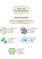 Vorschau - Arbeitsblätter - Mikrobiologie Bakterien, Viren, Mikrobiome, Pilze, Mikroorganismen - Seite 3