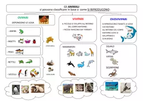 anteprima - Materiale di supporto/inclusione - SCIENZE - Gli animali (nozioni base) - Pagina 1