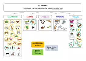 anteprima - Materiale di supporto/inclusione - SCIENZE - Gli animali (nozioni base) - Pagina 2